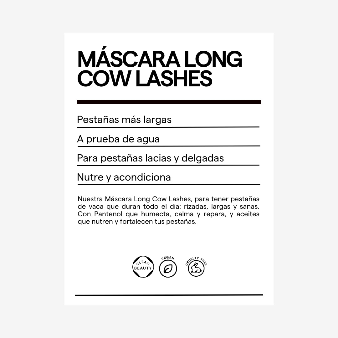 KIT MAKEUP EL FANTASMA DE PLATA